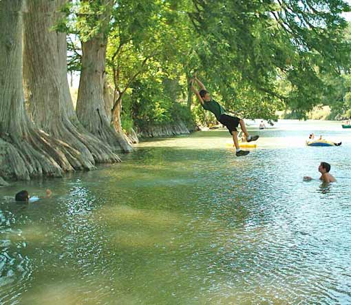 Tree Swing Over The Guadalupe River
